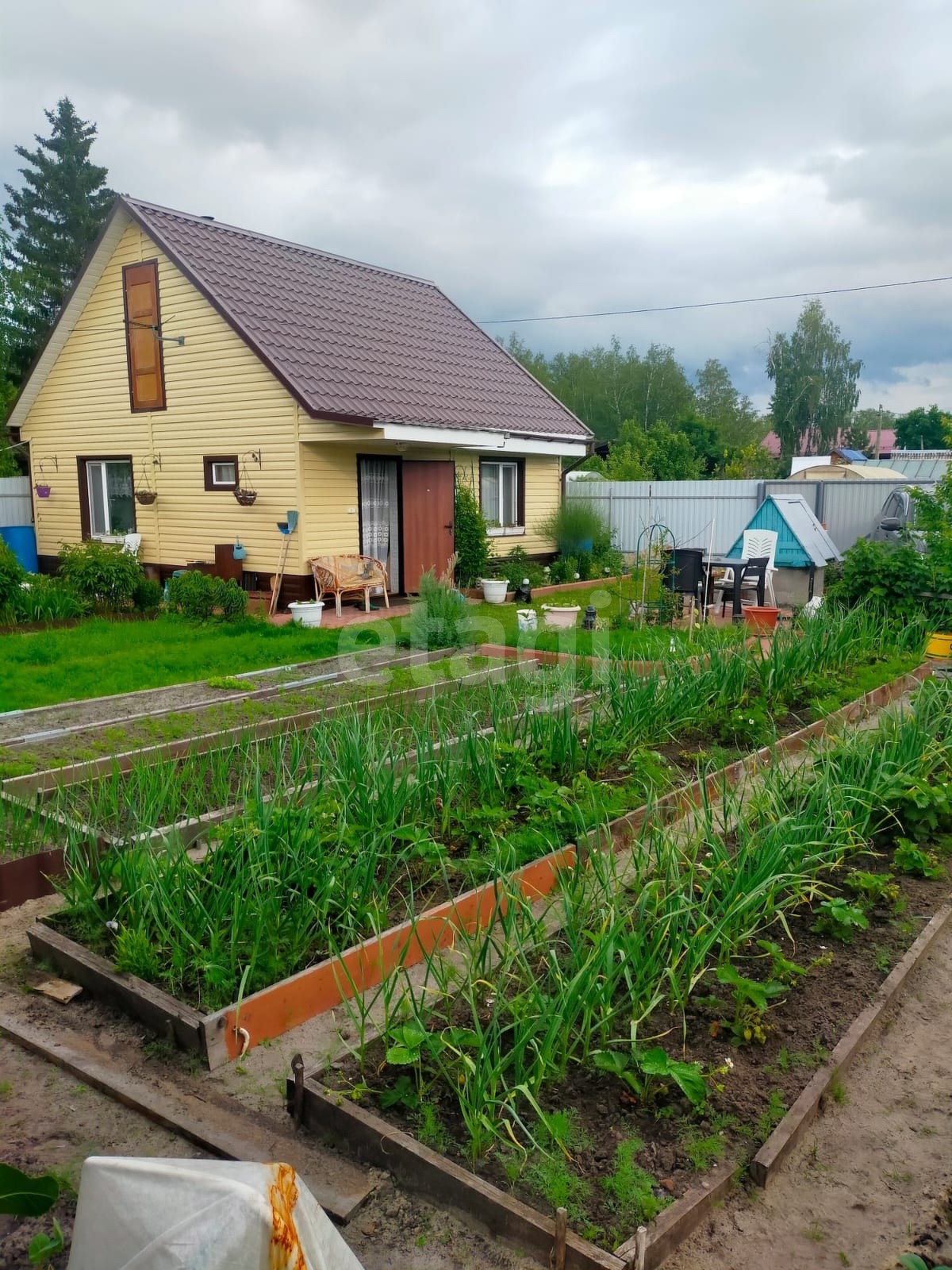 дачи дружба 2