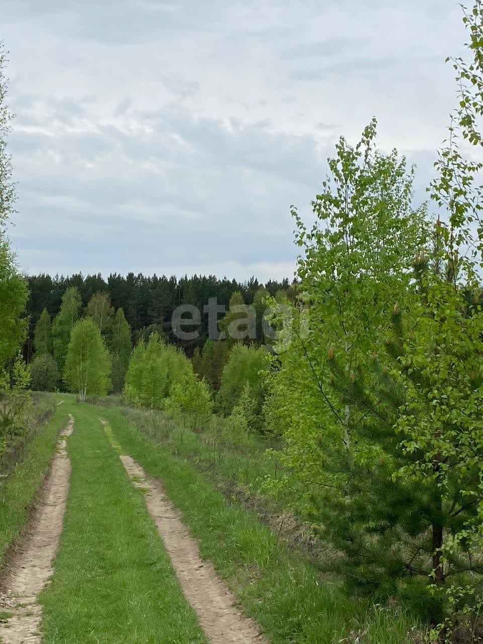 Покупка земельного участка, Жургавань д, 15 сот., 11133918, Кемерово -  покупка