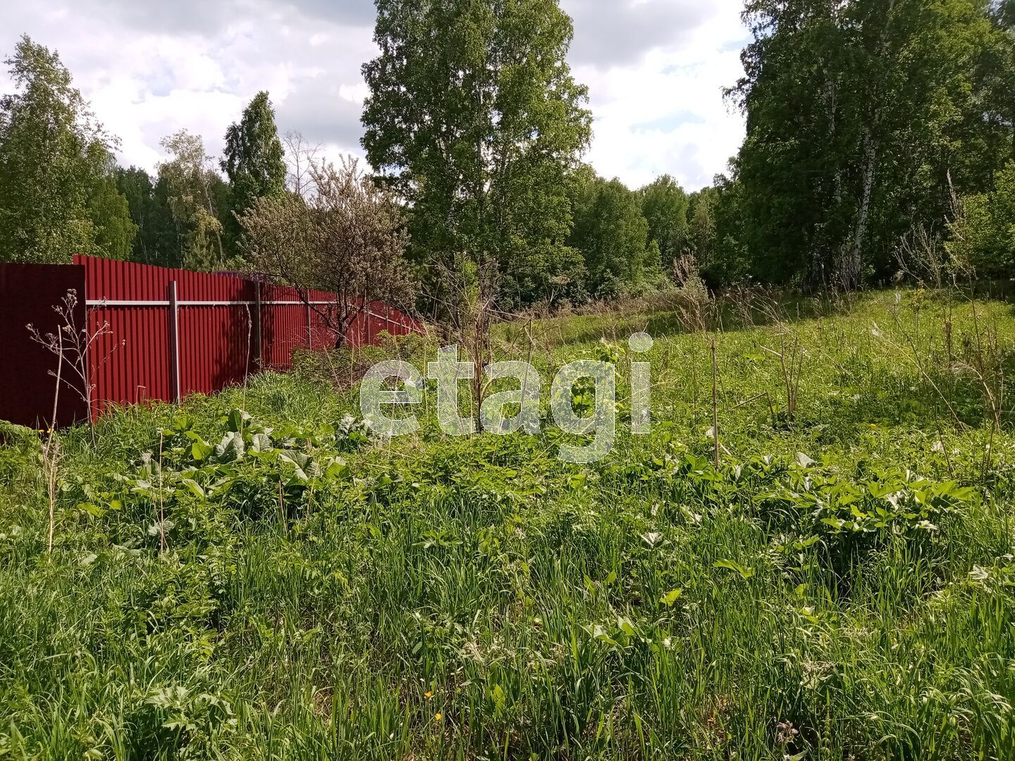 Участок 4 заводского кемерово. Деревня Мамаевка в Кемерово первая аллея девятый участок. Продам дачу Мамаевка СНТ здоровье Кемерово архив 2020.