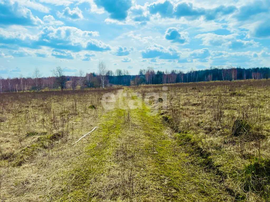 Купить загородную недвижимость в районе Натальинка д в Туле, продажа  недорого