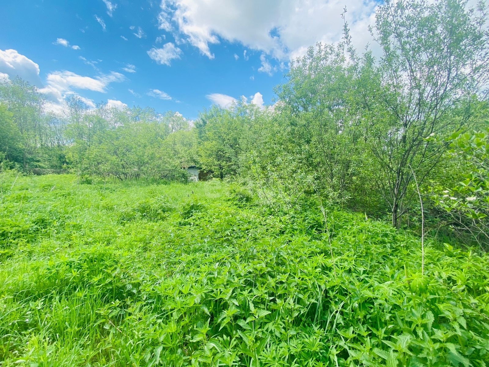 Купить загородную недвижимость в районе Пьянково в Костроме, продажа  недорого