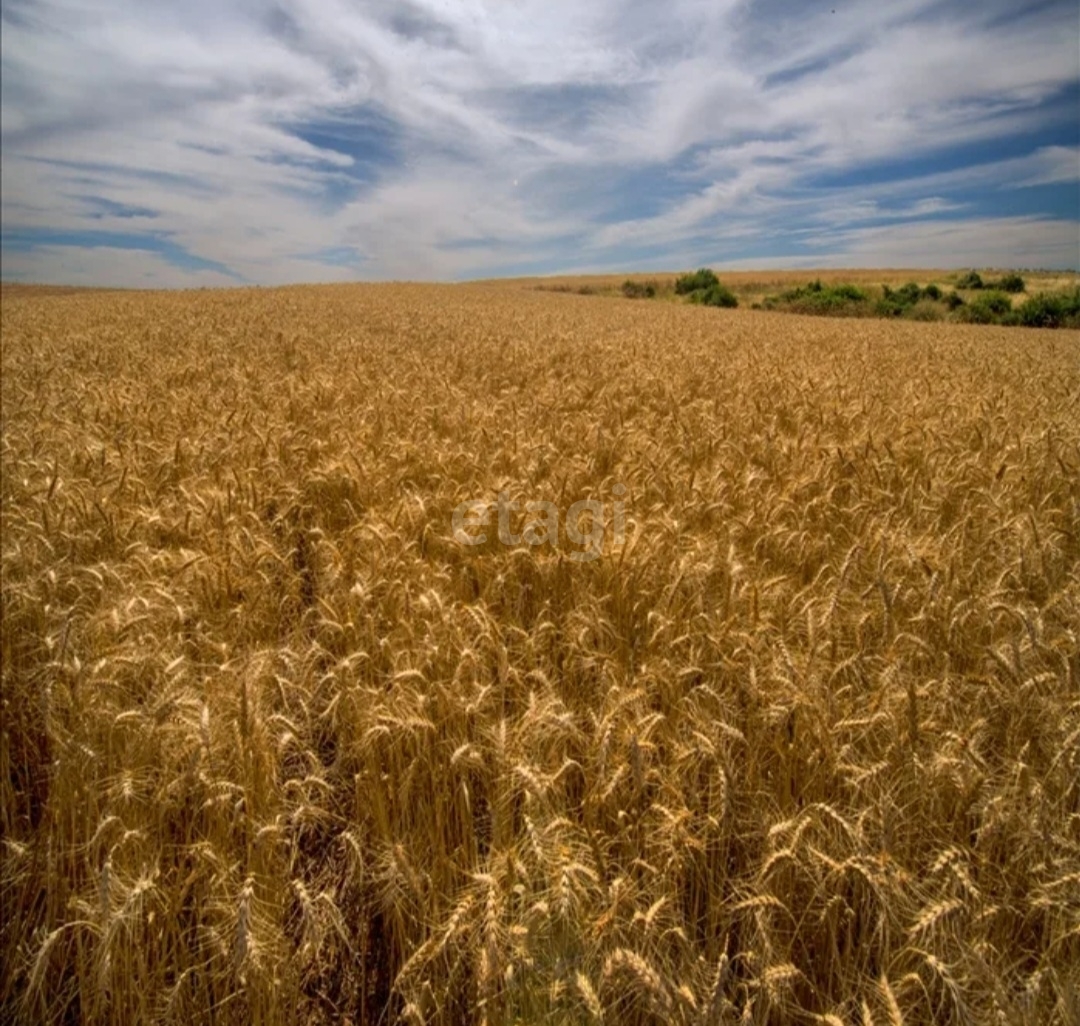 Покупка земельного участка, Атлашкино, 1563 сот., 7786779, Казань - покупка