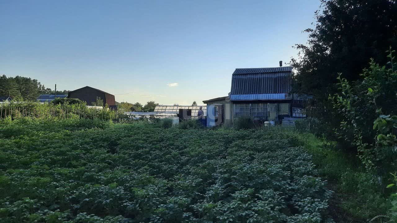 Купить дачу, Новый путь в Железногорске (Красноярский край), продажа  недорого