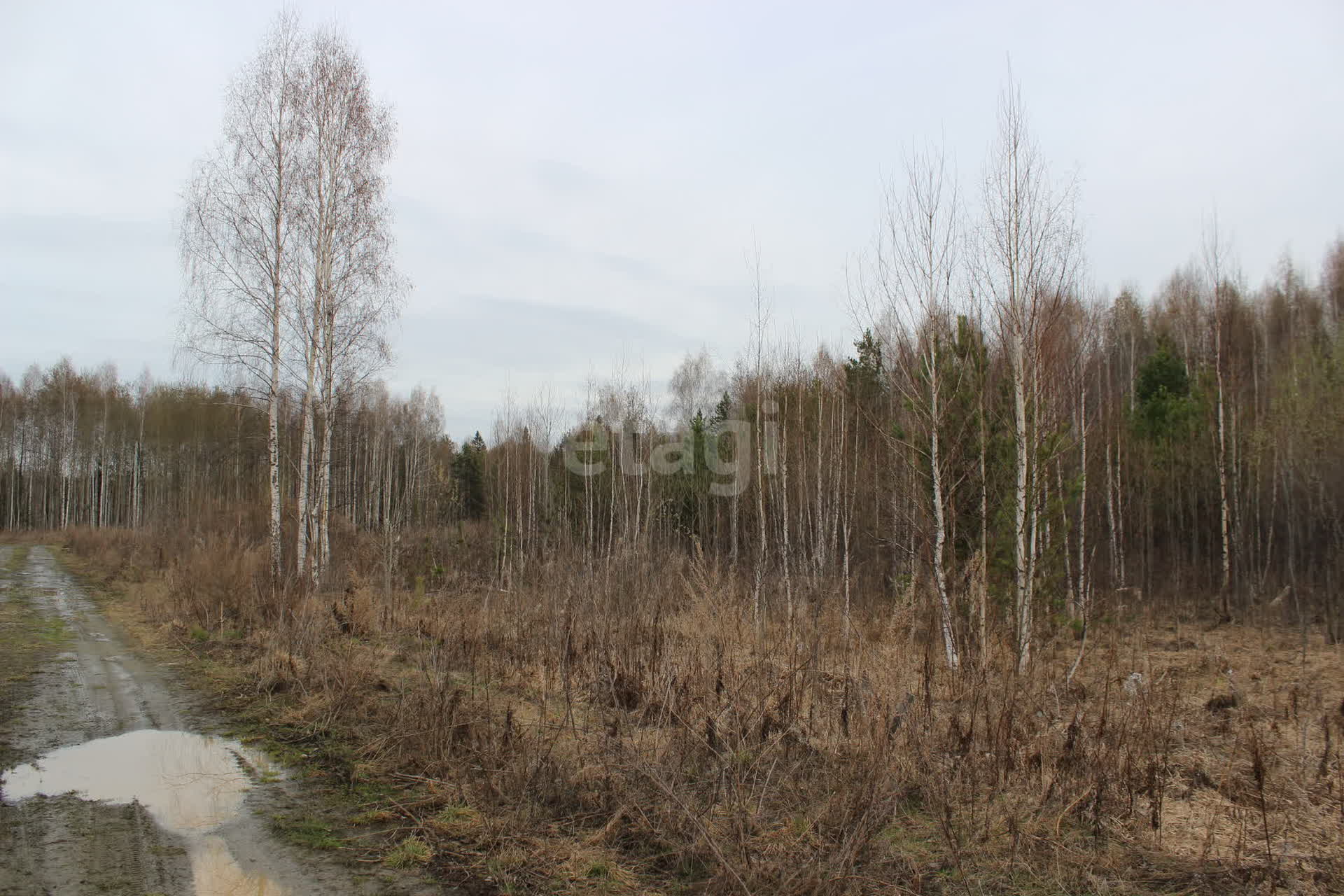 Купить загородную недвижимость в районе Кедровое в Екатеринбурге, продажа  недорого