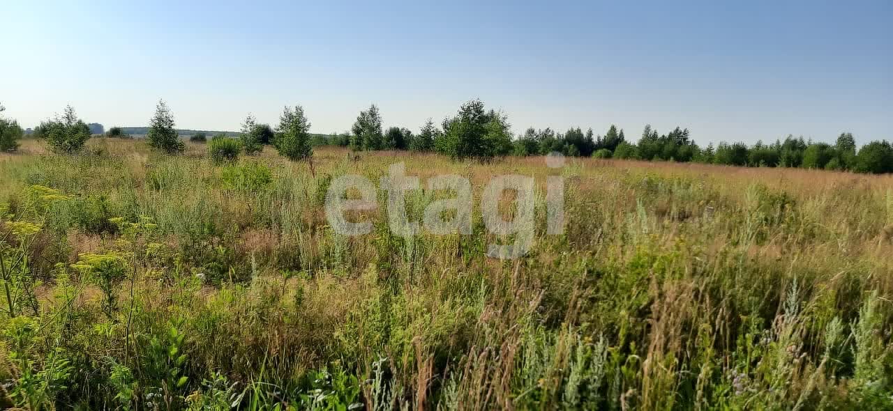 Купить Участок Костромская Область