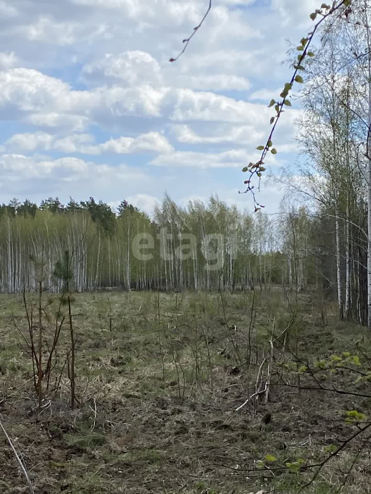 Купить земельный участок деревня Чёрная Речка, 🏡 продажа участков земли  недорого