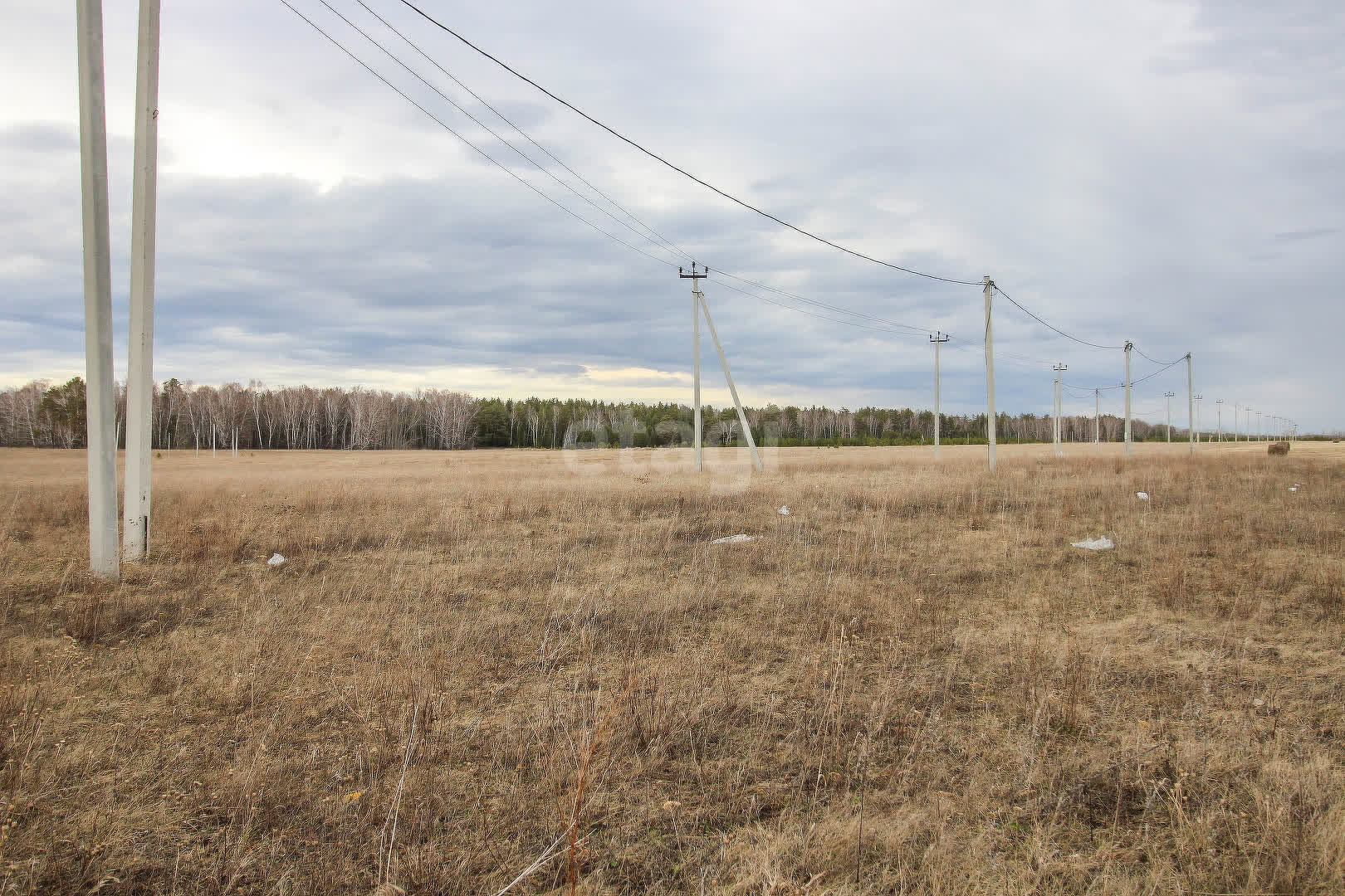 Купить загородную недвижимость в районе Полесье микрорайон в Барнауле,  продажа недорого