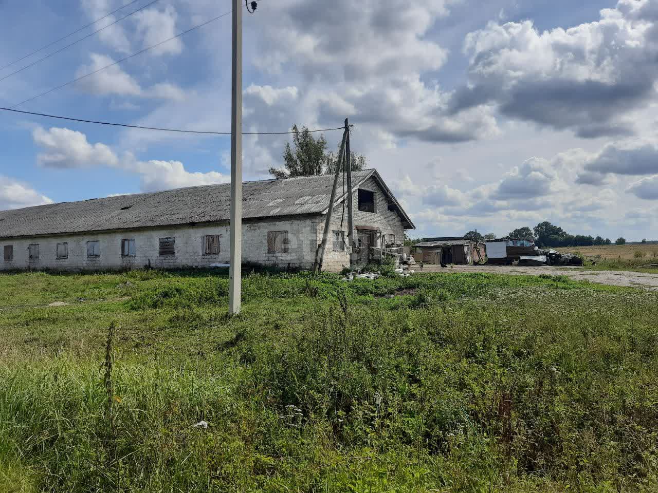 Купить ферму в Калининграде, 🏢 продажа птицеферм, коровников