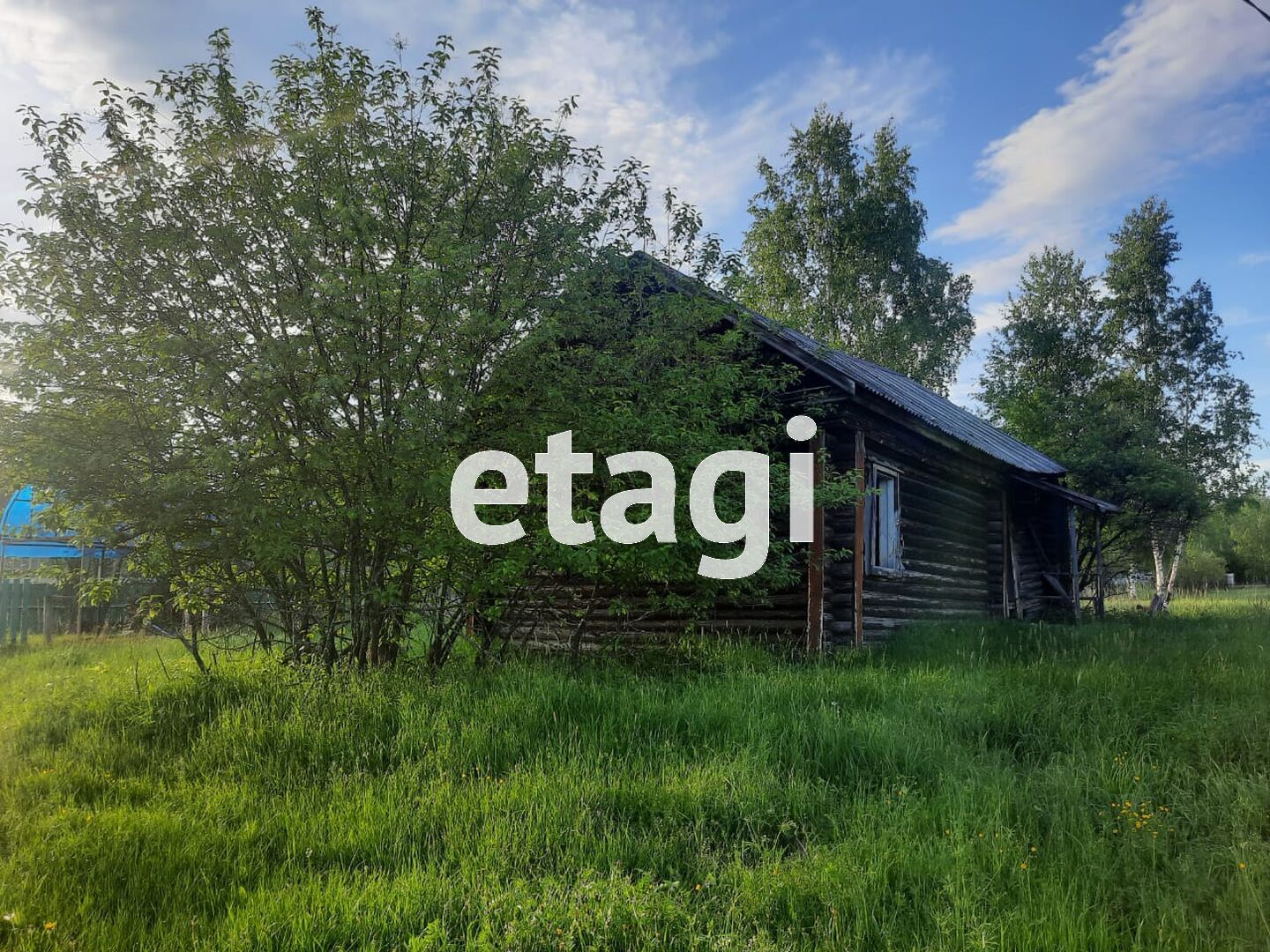 Деревня чаща. Деревня чаща петушинский район фото. Д чаща гатчинский район. Деревня чаща гатчинский район ленинградская область. Деревня чаща.