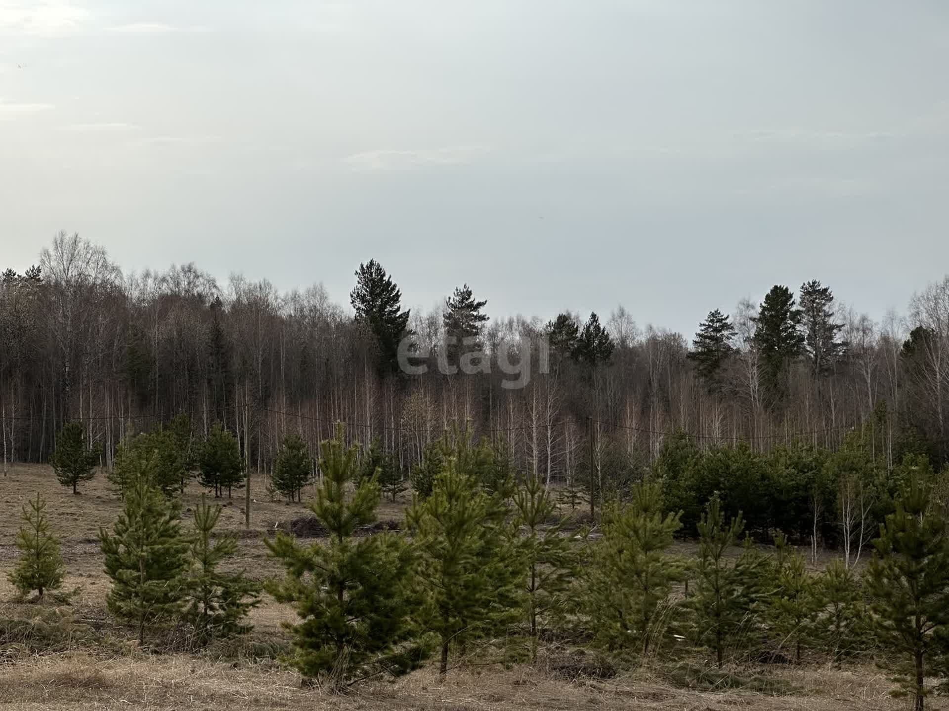 Покупка земельного участка, Лукино д, 9.6 сот., 10964368, Красноярск -  покупка