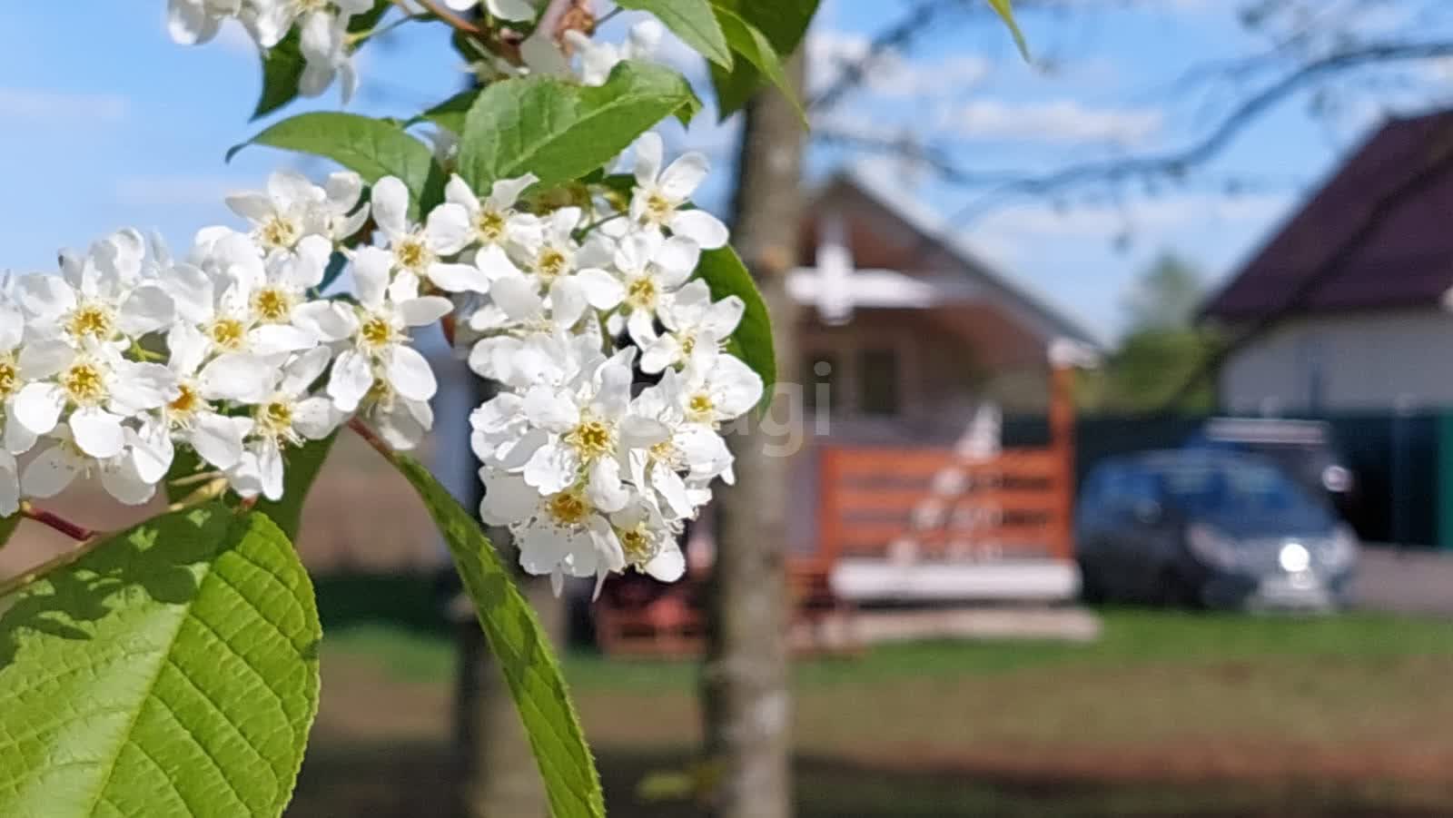 Купить загородную недвижимость в районе деревня Курово в Орехово-Зуево,  продажа недорого