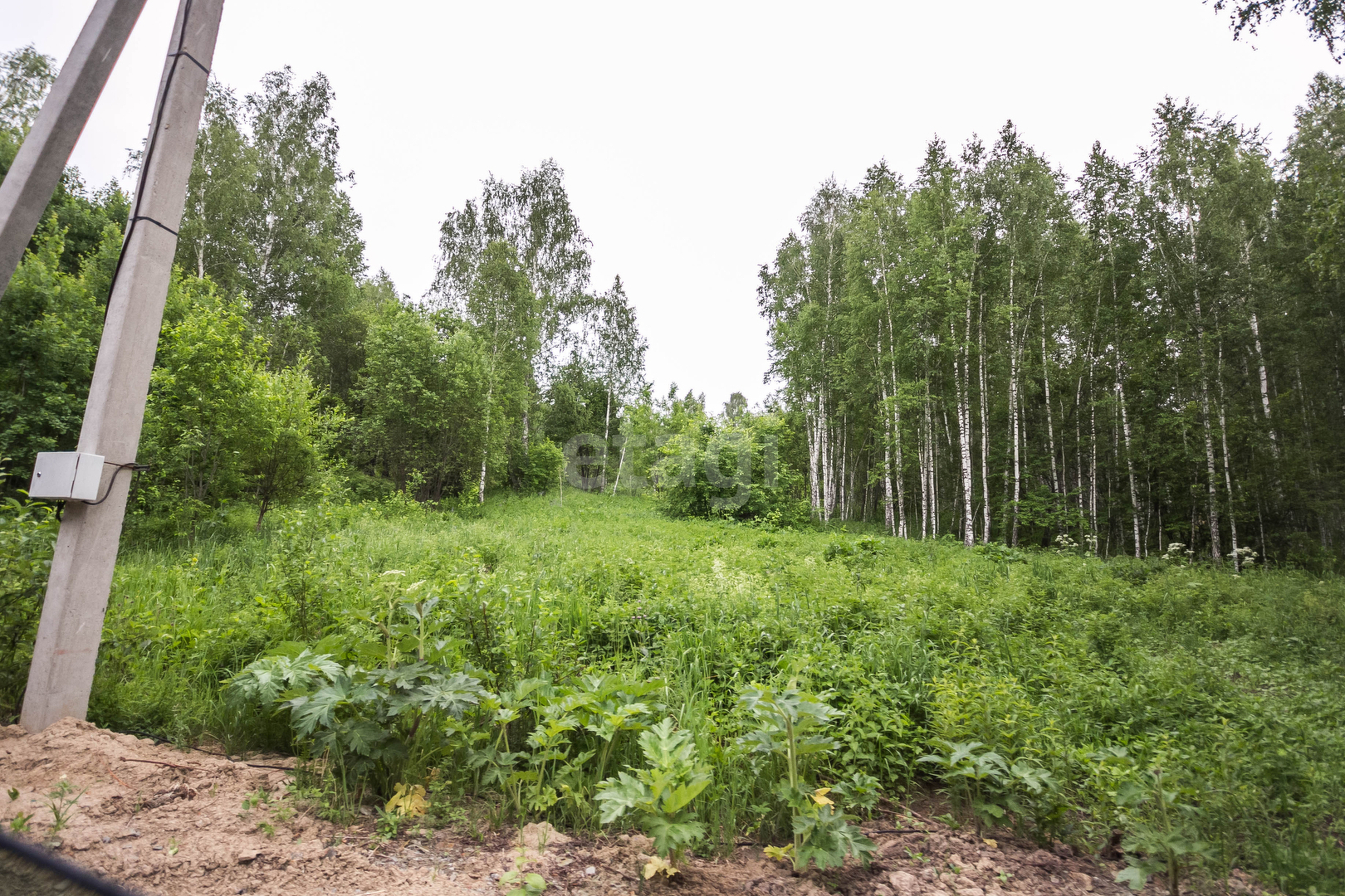 Купить загородную недвижимость в районе Синегорье снт в Бердске, продажа  недорого