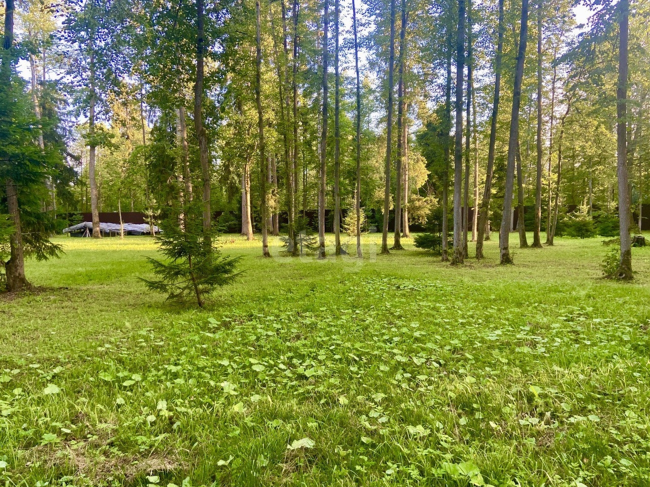 Купить загородную недвижимость в районе Воробьи д в Обнинске, продажа  недорого