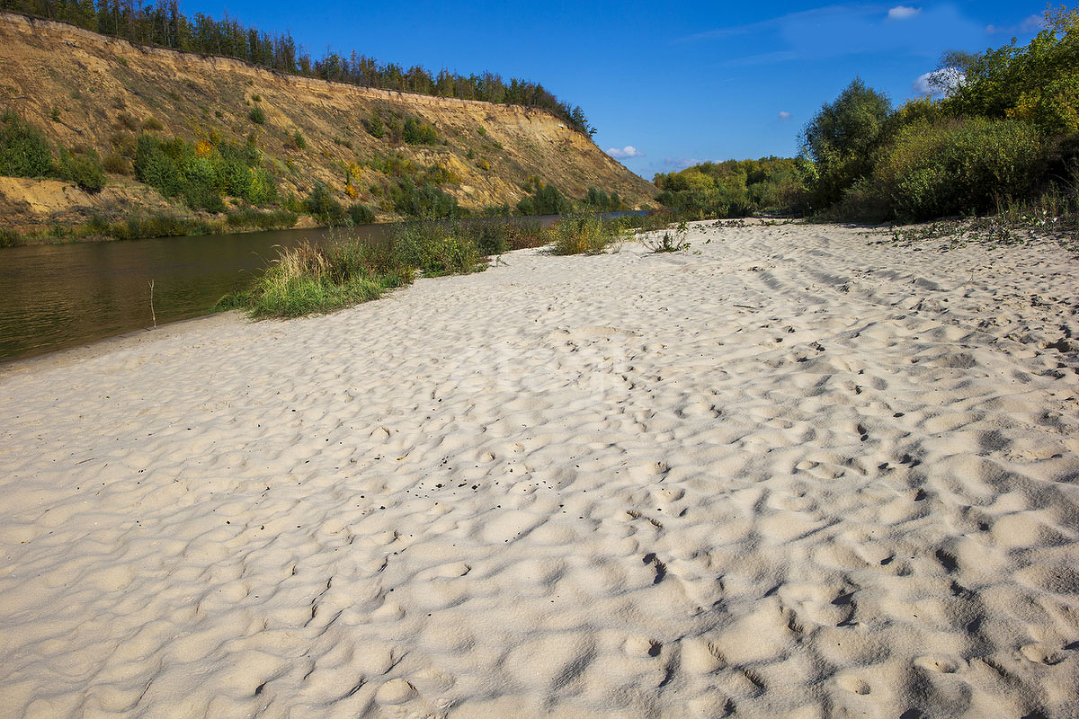 Купить В Воронеже И Воронежской Области