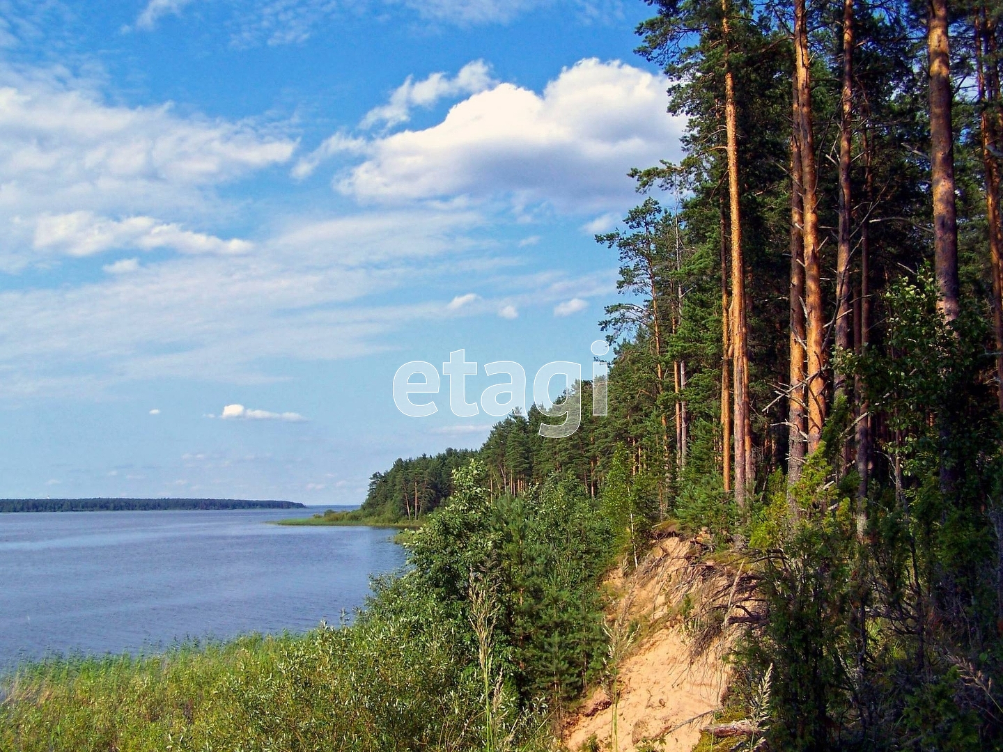 Покупка земельного участка, Коротово д, 20 сот., 7689695, Череповец -  покупка