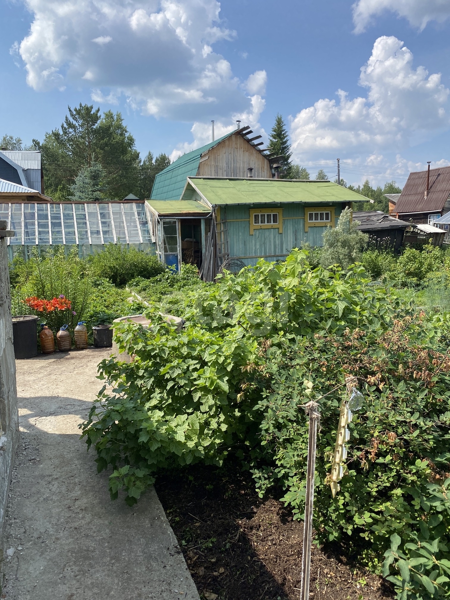 Купить Сад На Монзино Нижний Тагил