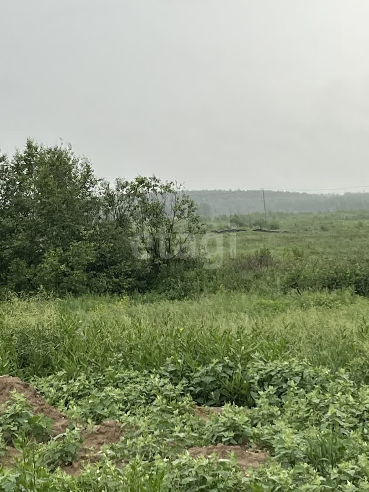 Купить земельный участок в районе Широкая Речка поселок в Екатеринбурге,  продажа земли недорого