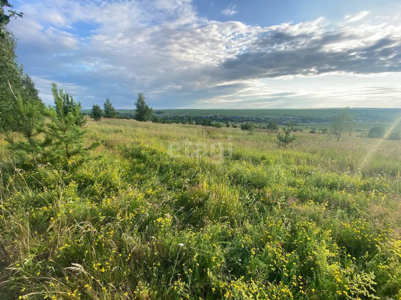 Купить загородную недвижимость в районе Берсеневка с в Саранске, продажа  недорого