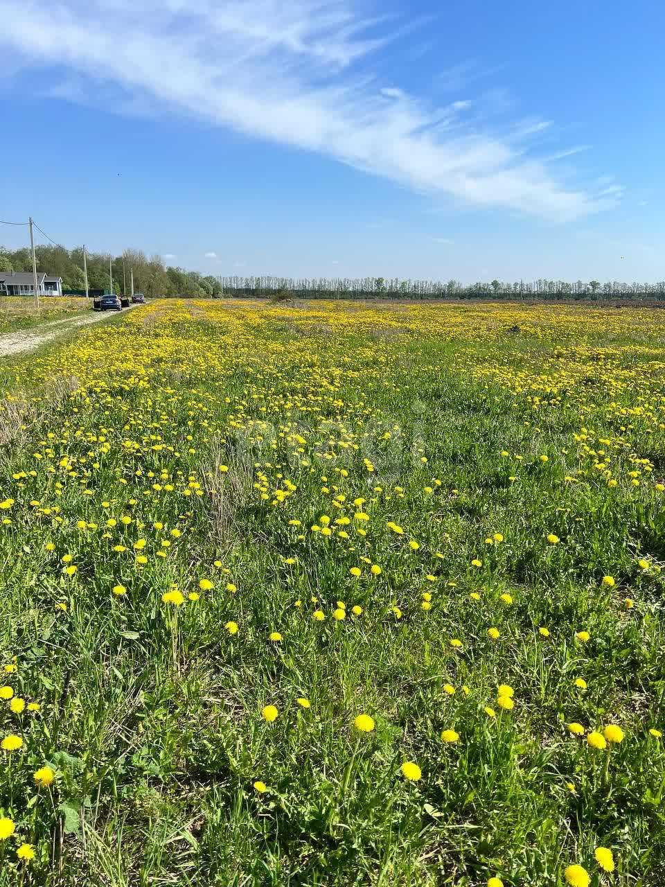 Купить загородную недвижимость в районе Жабино д в Санкт-Петербурге,  продажа недорого