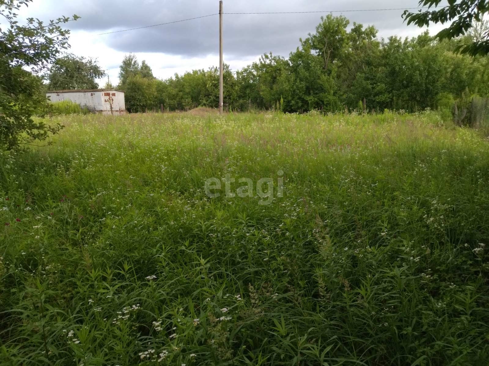 Купить Земельный Участок В Брянской Области