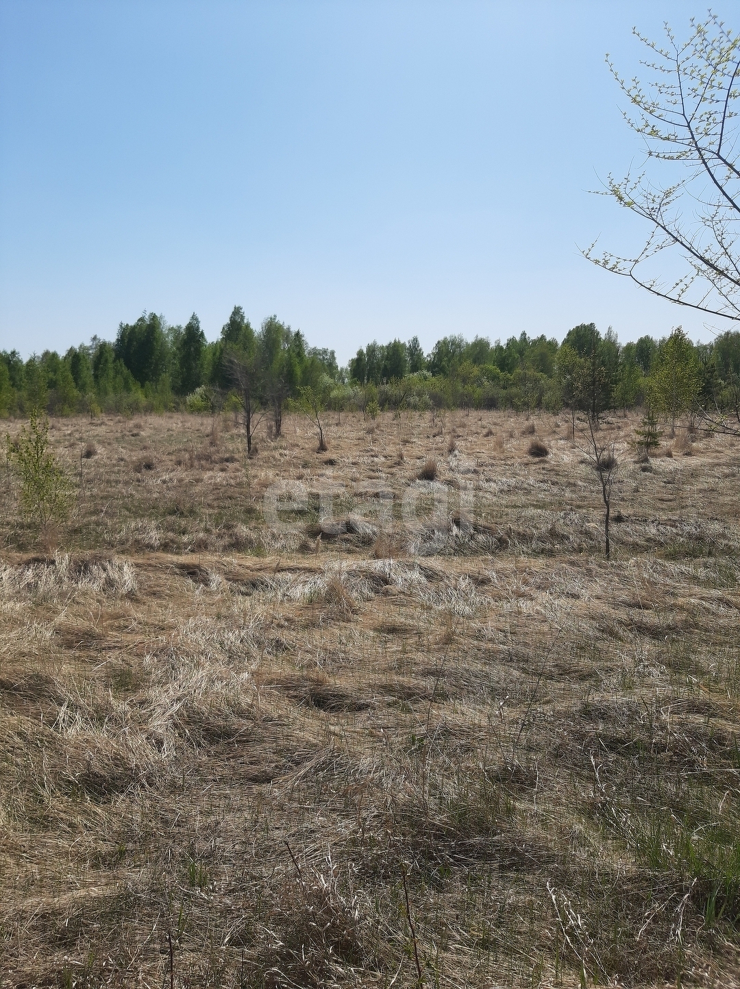 Покупка земельного участка, Новый поселок, 10.3 сот., 9413290, Шадринск -  покупка