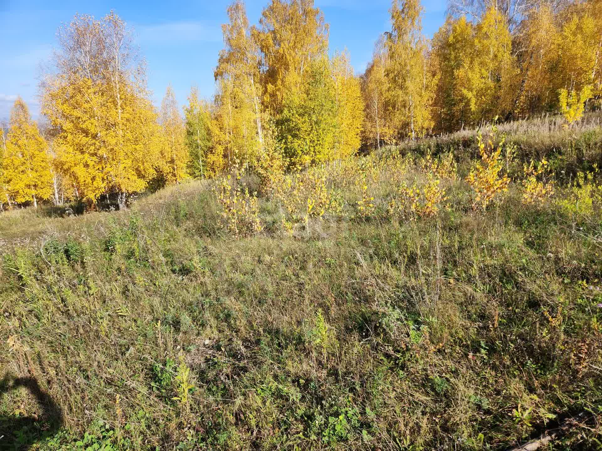 Купить земельный участок в районе Восточный п в Миассе, продажа земли  недорого