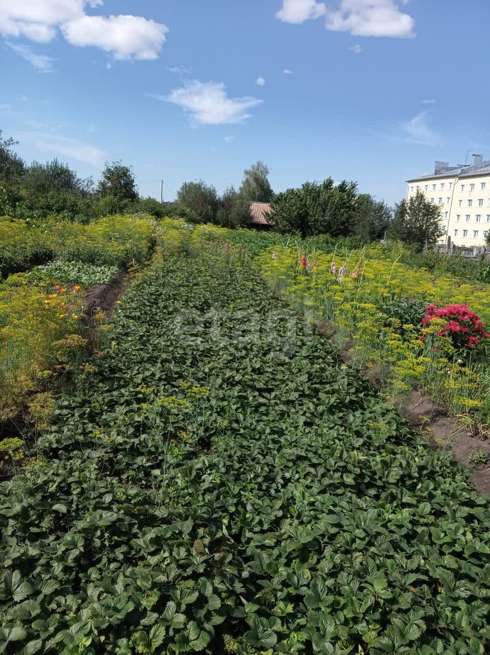 Купить земельный участок, Гурьевский район в Кемерово, продажа земли  недорого