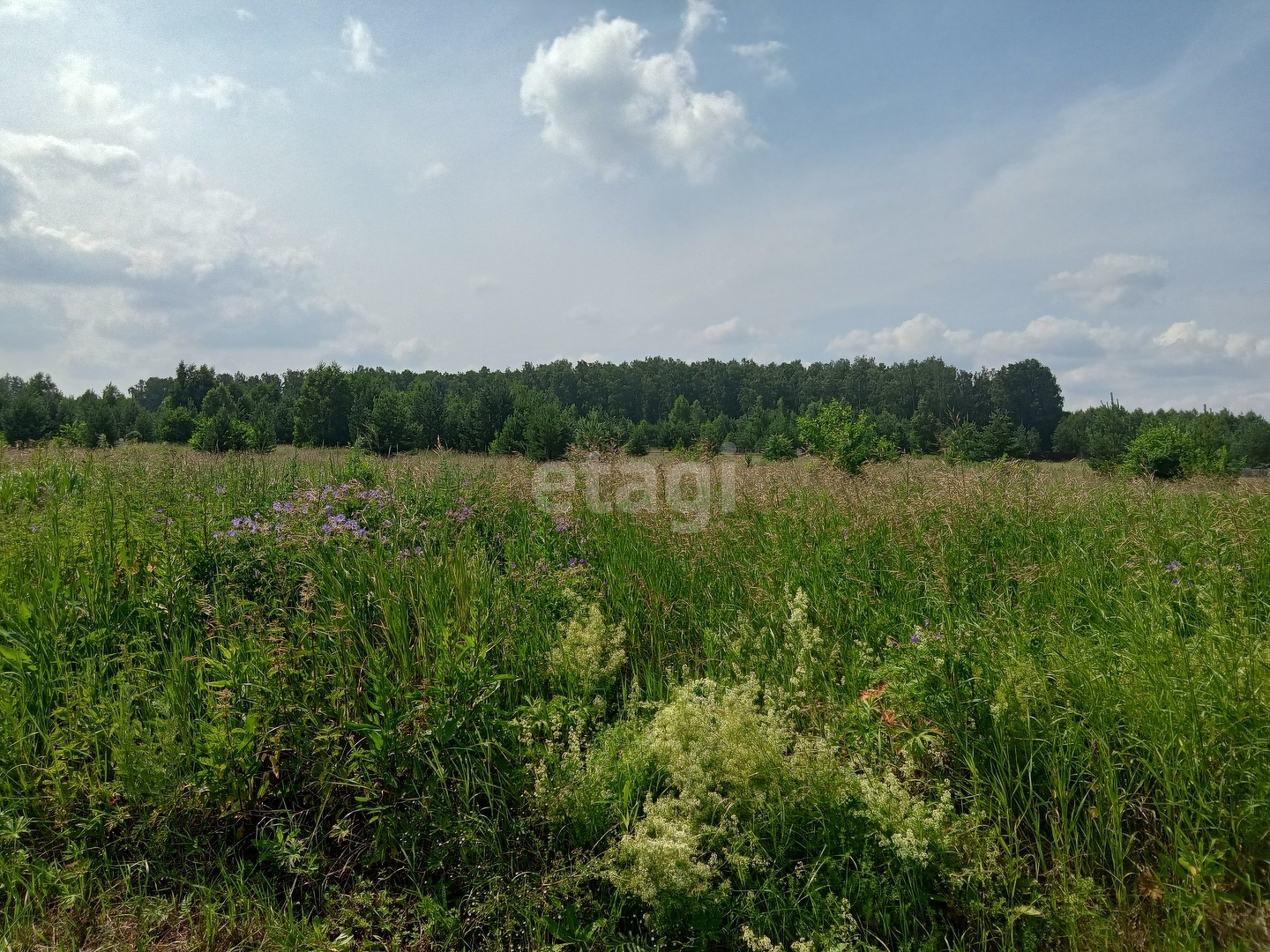 Покупка земельного участка, Боровое д, 14 сот., 6013314, Чебаркуль - покупка