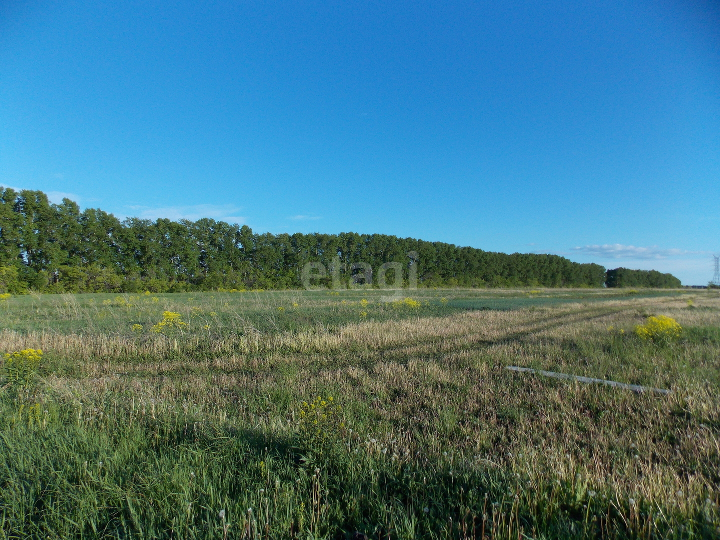 Покупка земельного участка, Ягуново с, 100 сот., 9726017, Кемерово - покупка