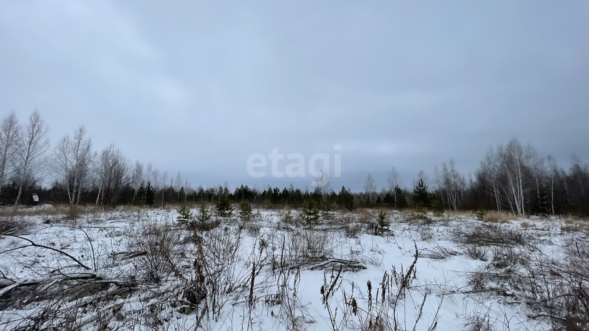 Покупка земельного участка, Бабяково, 13.5 сот., 10299949, Воронеж - покупка