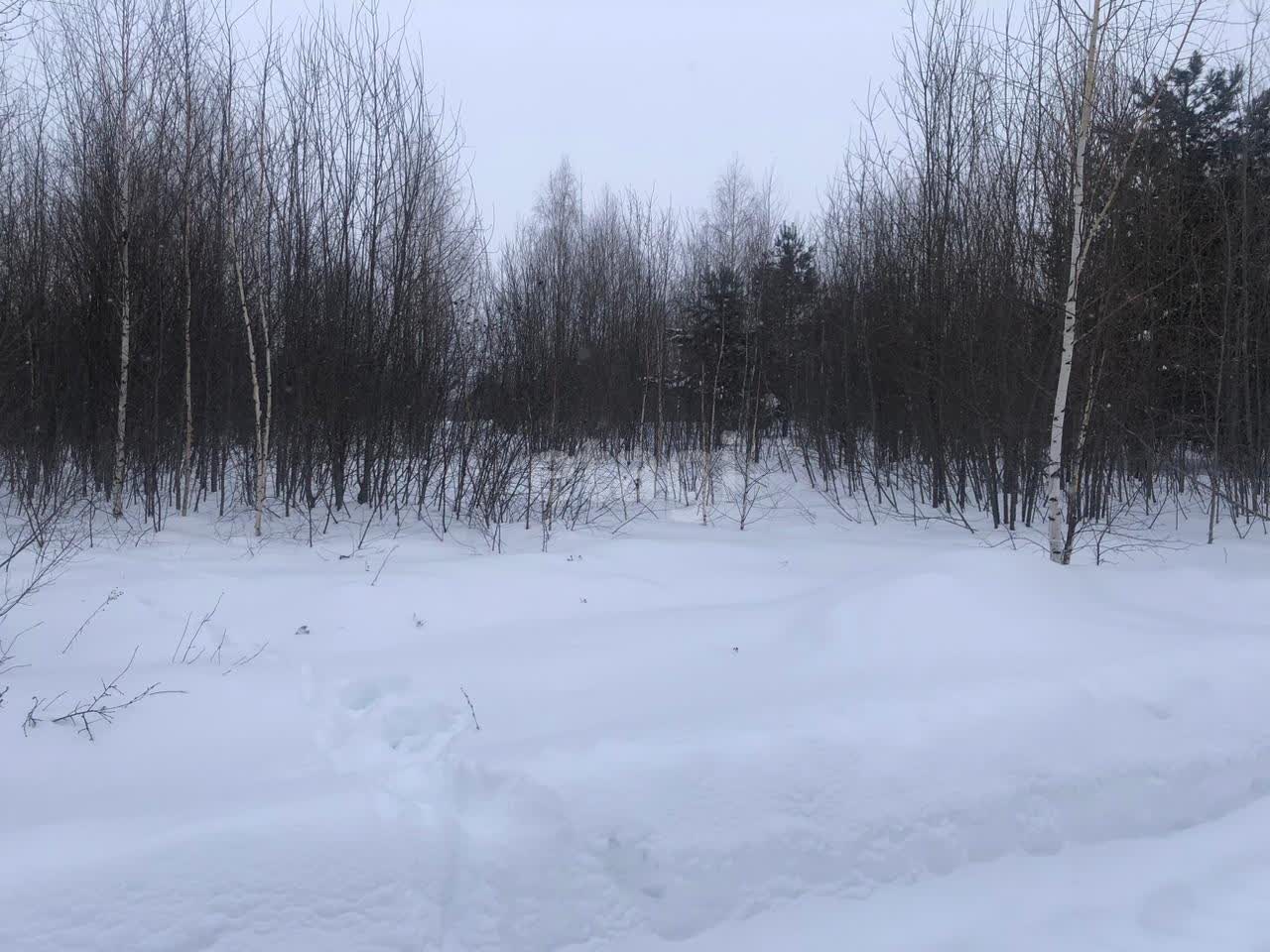 Купить загородную недвижимость, Камско-Устьинский в Казани, продажа недорого