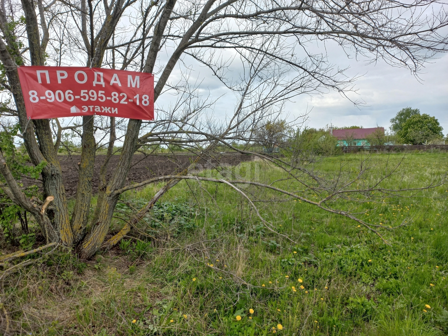 Купить загородную недвижимость в районе Студеные Хутора с в Липецке,  продажа недорого