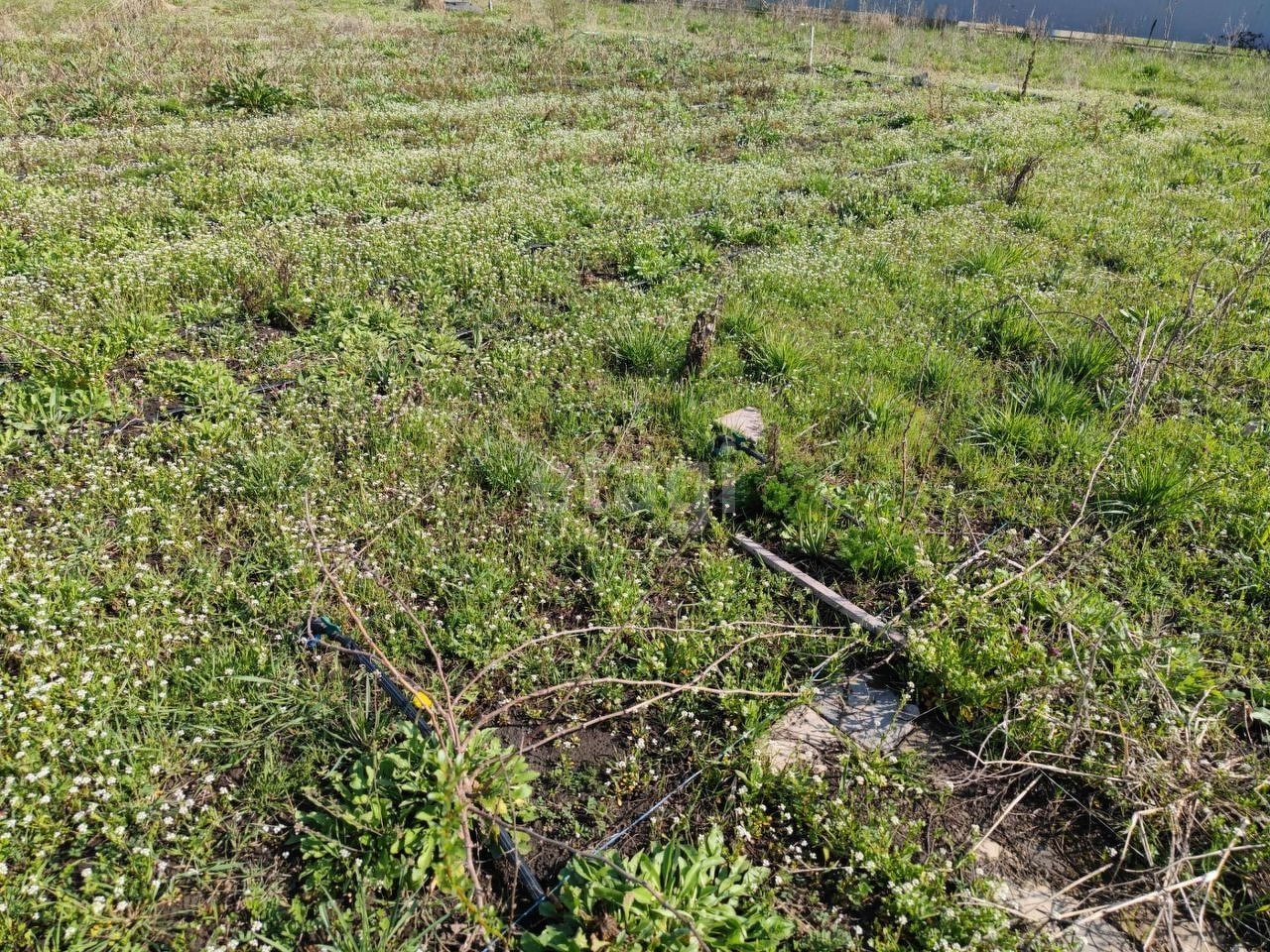 Купить загородную недвижимость в районе Ветеран СТ - Елизаветинская станица в  Краснодаре, продажа недорого