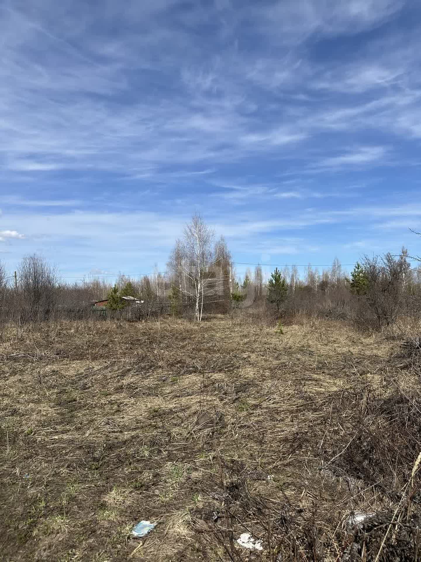 Покупка земельного участка, Дендрарий СНТ, 6 сот., 10860592, Ульяновск -  покупка