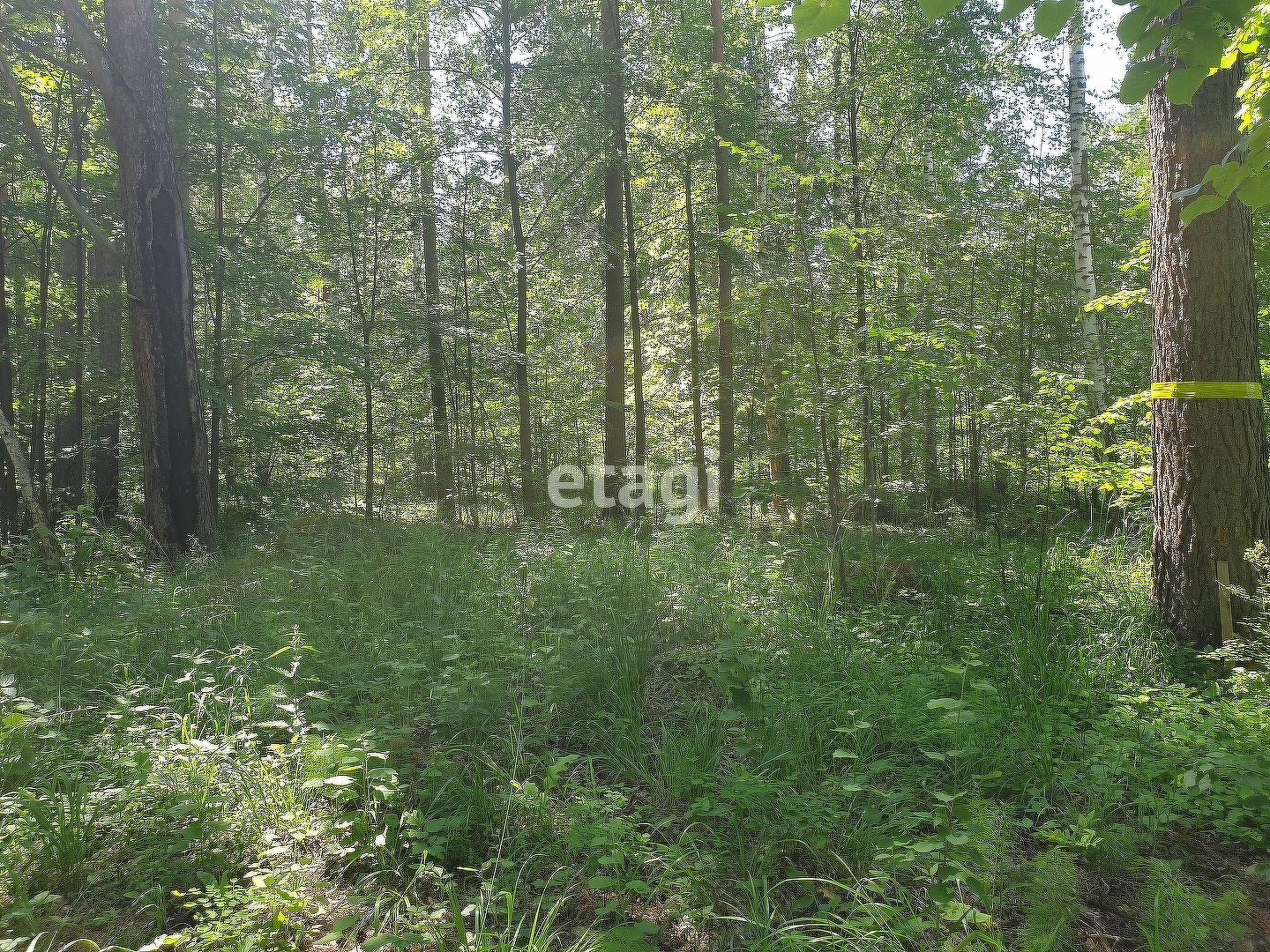 Купить земельный участок село Новокаишкуль, 🏡 продажа участков земли  недорого