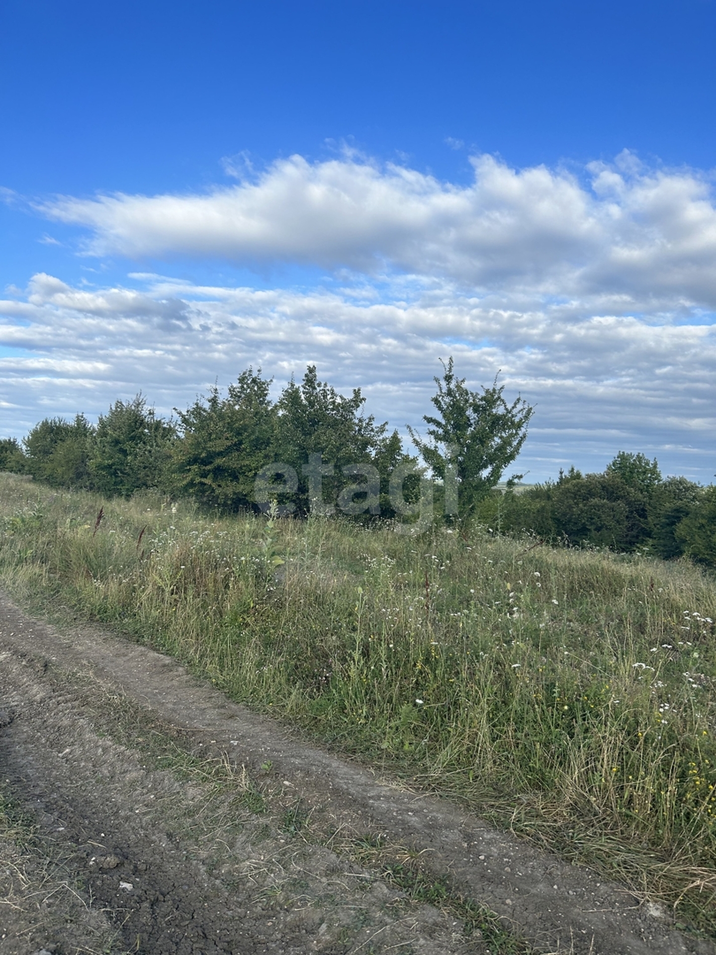 Купить загородную недвижимость в районе Новосвободная станица в Майкопе,  продажа недорого