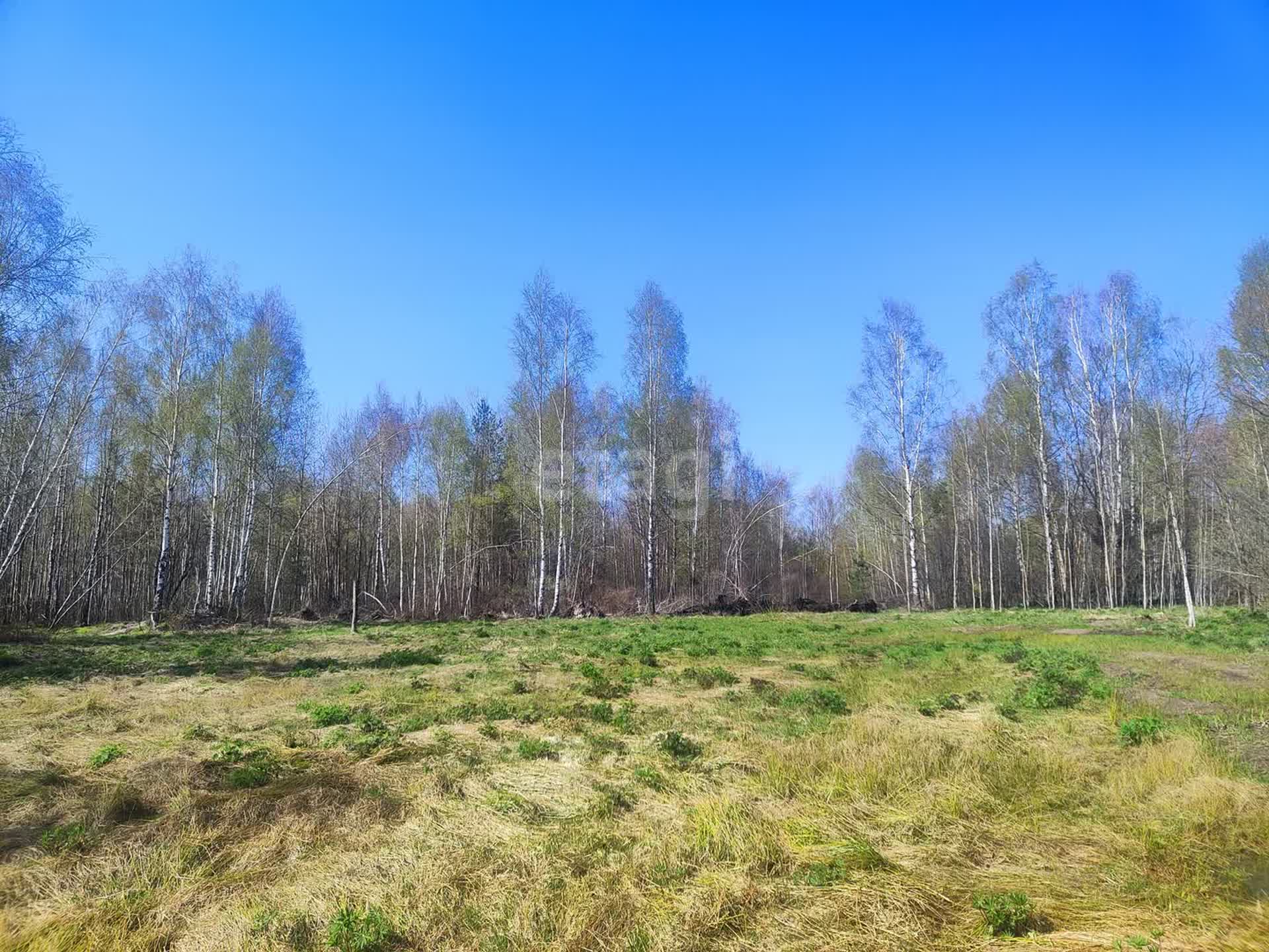 Купить загородную недвижимость в районе Язвищи деревня в Орехово-Зуево,  продажа недорого