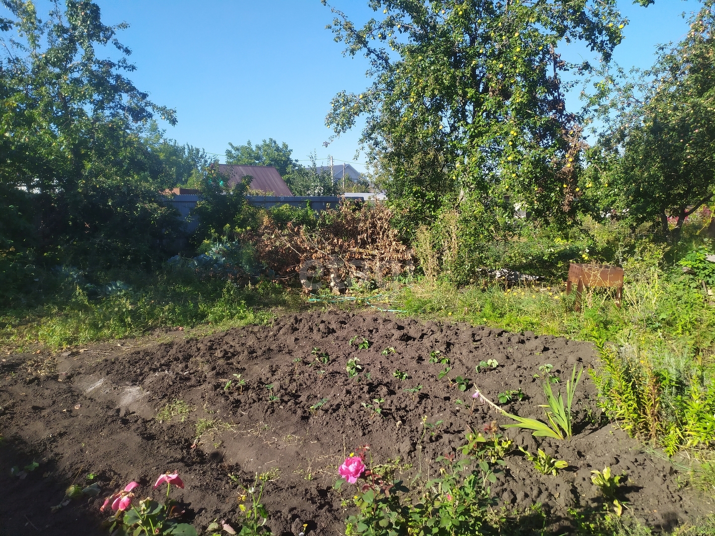 Купить Дачу Снт Весна Ульяновск