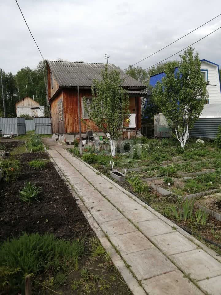 снт искатель