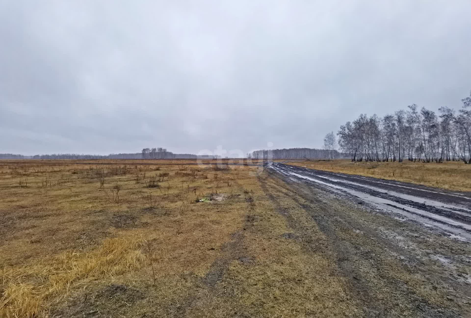 Купить загородную недвижимость в районе Ульяновка село в Омске, продажа  недорого