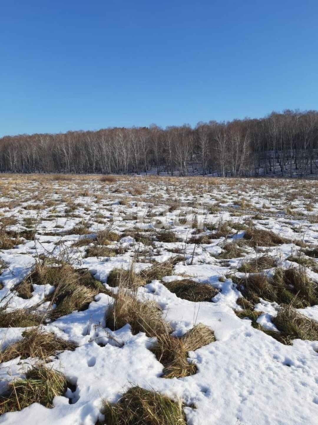 Покупка земельного участка, Благодатное СТ, 15 сот., 9086302, Курган -  покупка