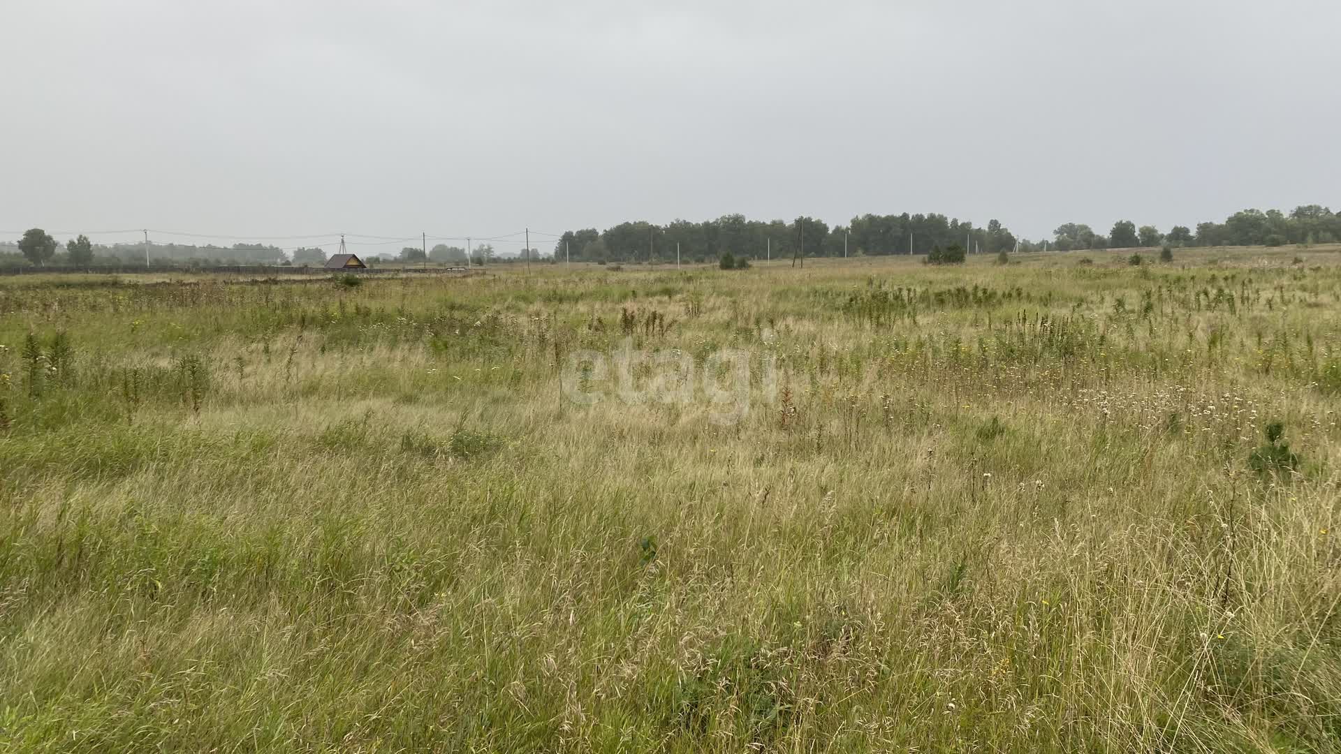 Покупка земельного участка, Частоостровское с, 6 сот., 9864241, Красноярск  - покупка