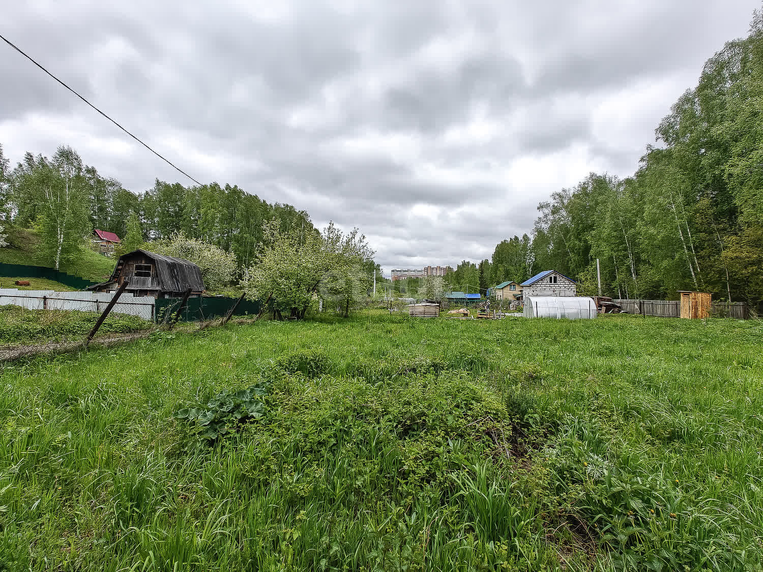 Покупка земельного участка, Ветеран СНТ (Октябрьский район), 6.5 сот.,  11043371, Новосибирск - покупка