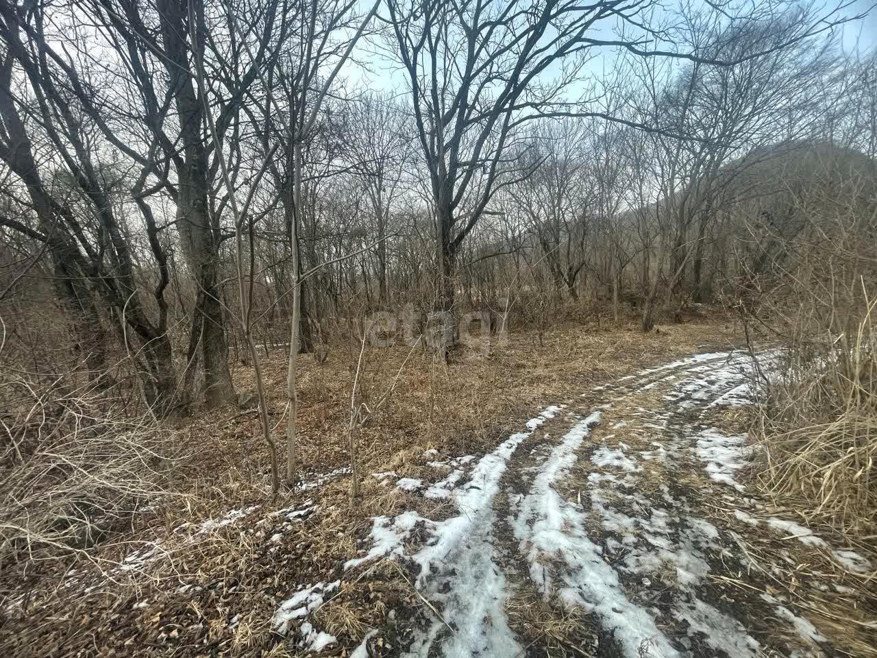 Купить загородную недвижимость в районе Многоудобное с в Владивостоке,  продажа недорого