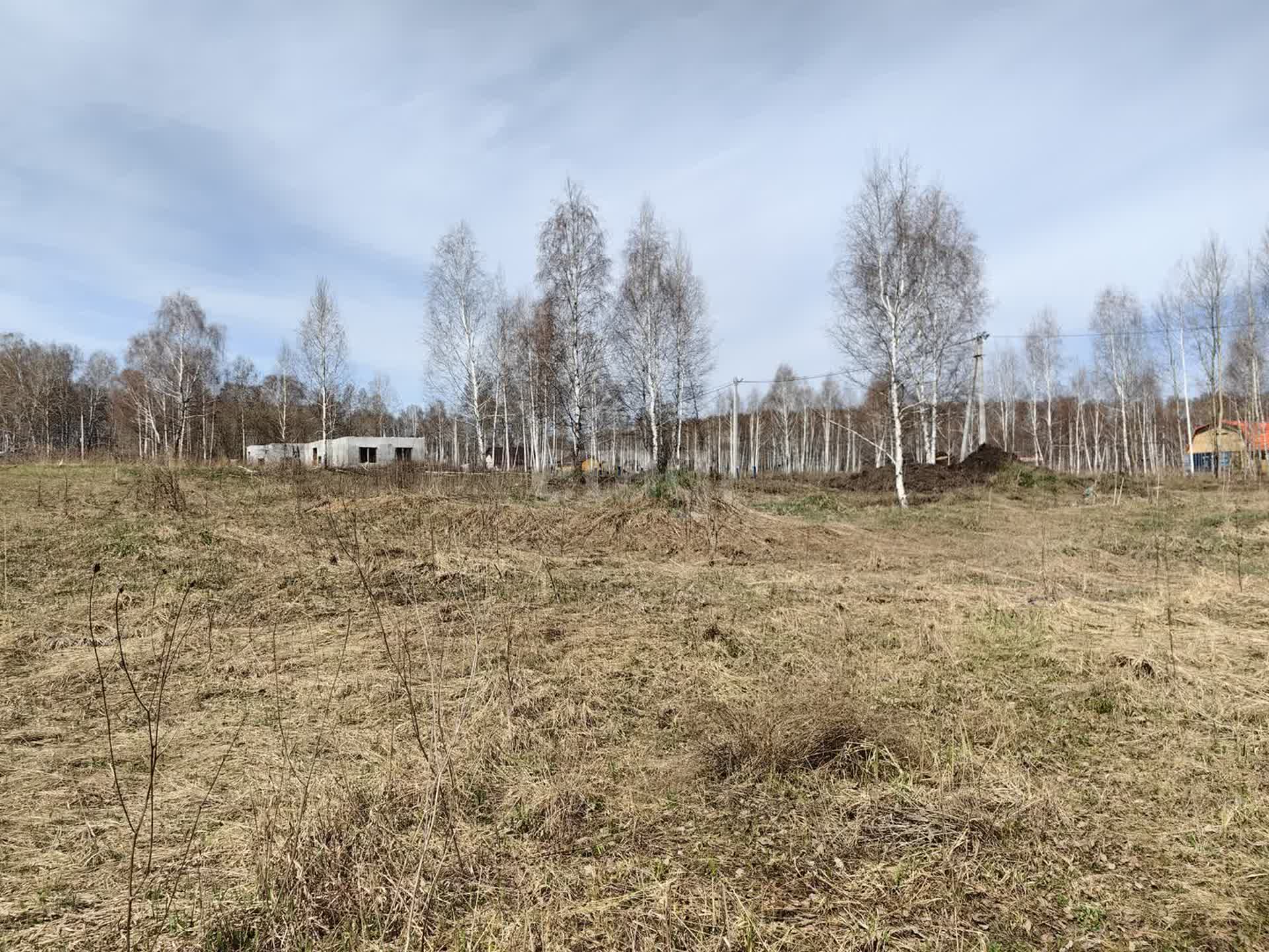 Купить загородную недвижимость в районе Облепиха ТСН ( ст. Мочище) в  Новосибирске, продажа недорого