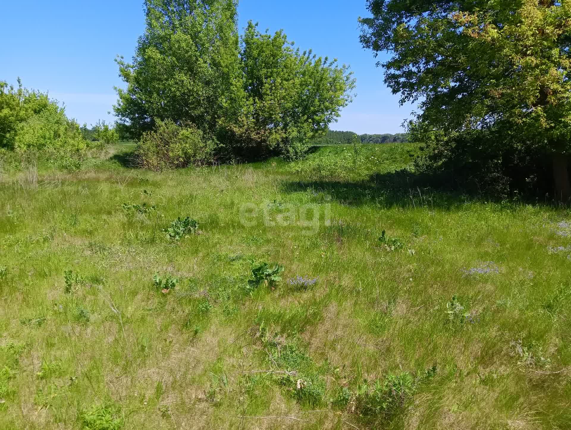 Купить загородную недвижимость в районе Сошки с в Липецке, продажа недорого