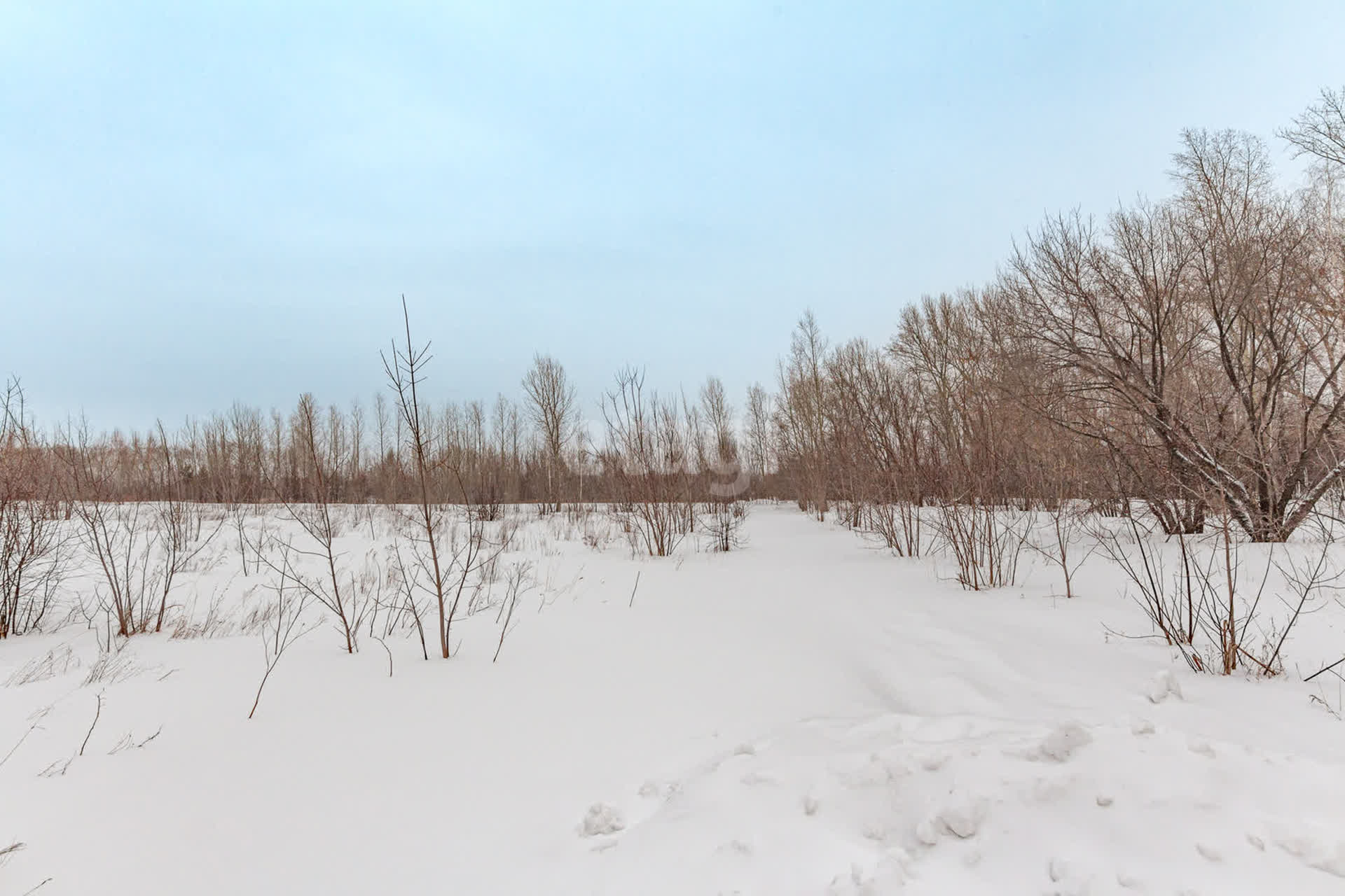 Купить Земельный Участок Поселок Бельмесево
