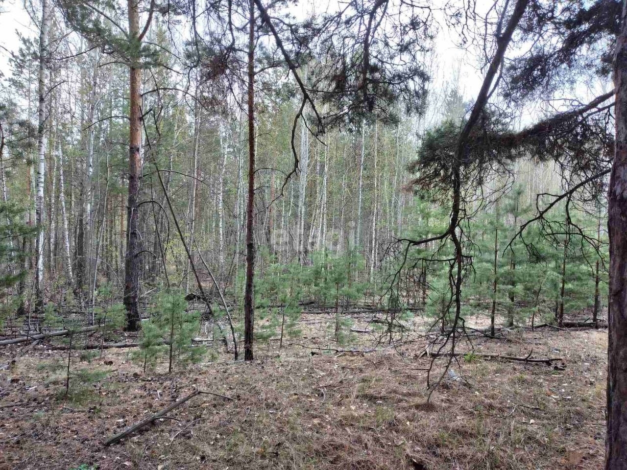 Купить Землю Сельхозназначения В Свердловской Области