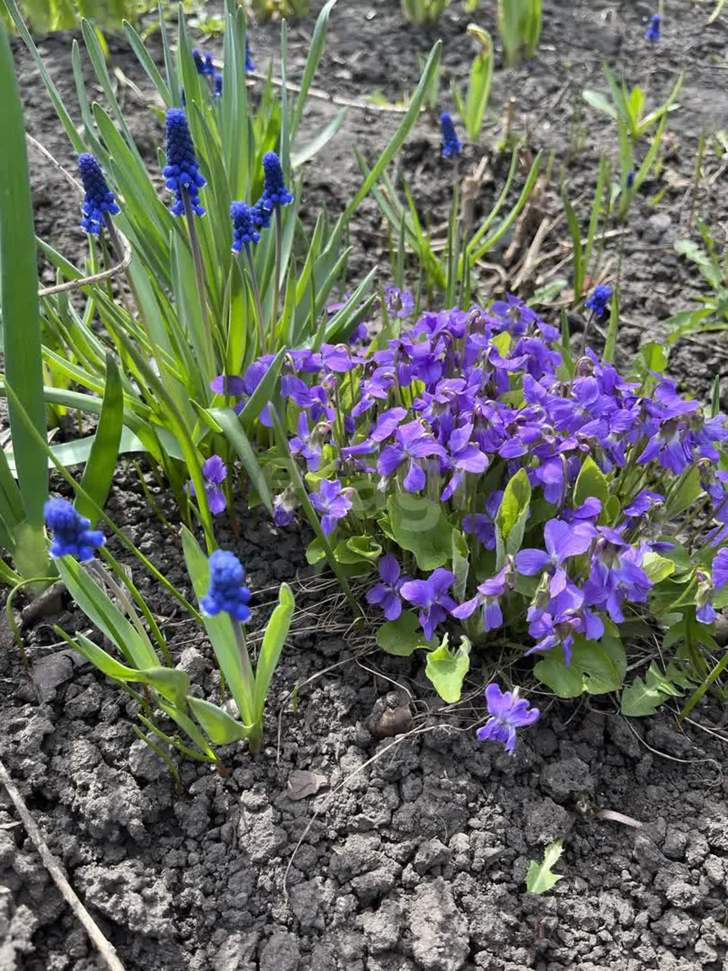 Купить земельный участок в Пензе, 🏡 продажа участков земли недорого