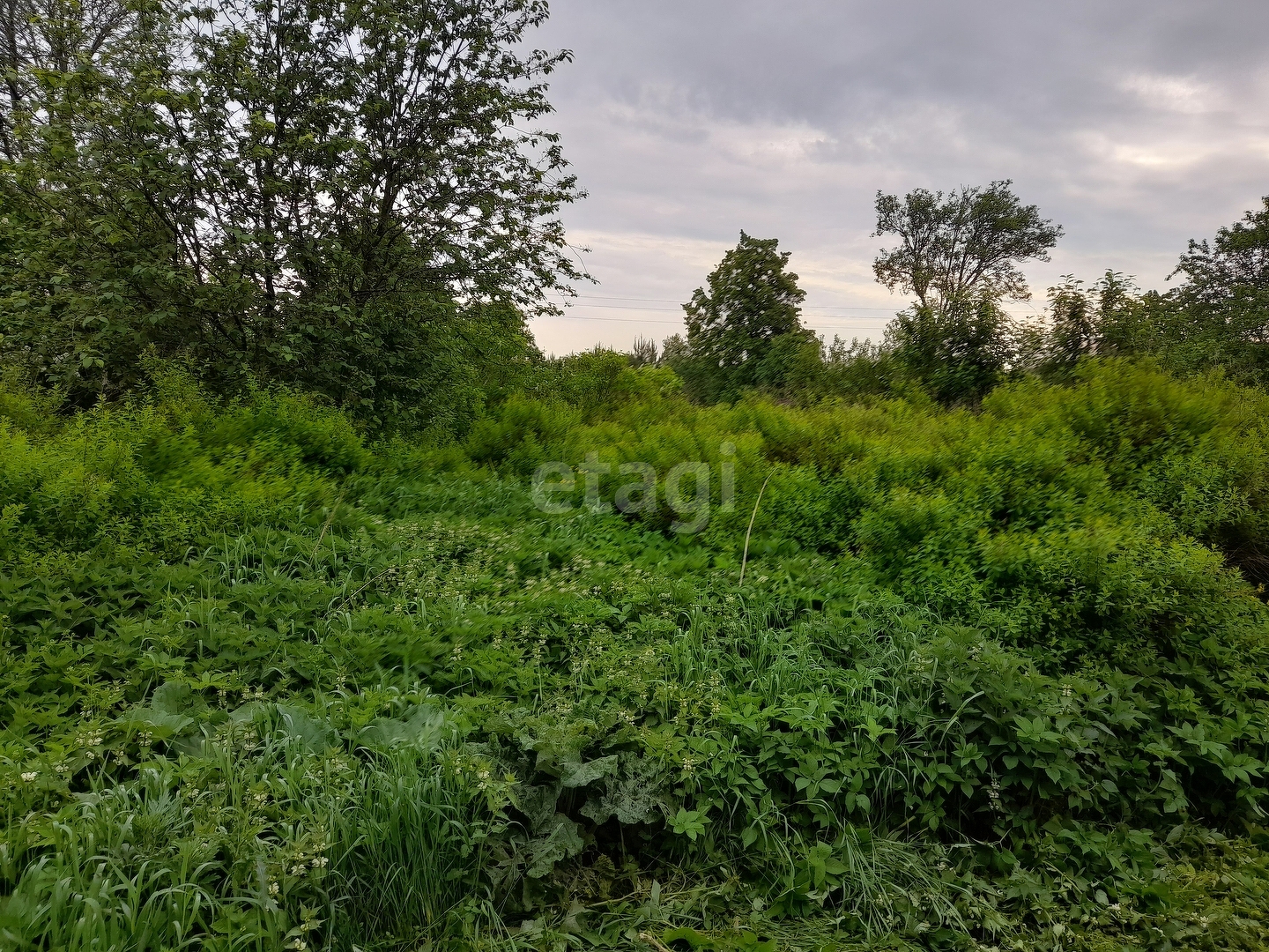 Купить загородную недвижимость в районе Неклочь д в Пскове, продажа недорого